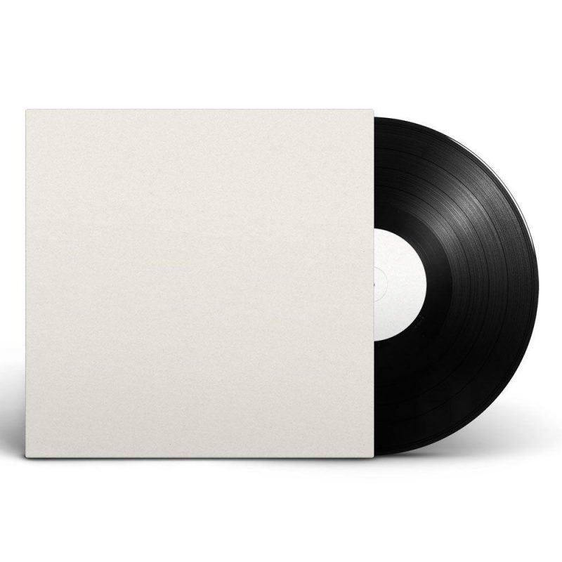 The Fly Downs - At This Point In Time - Test Pressing